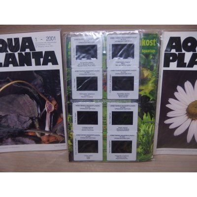 画像3: AQUA PLANTA 2001 1~4 (4冊セット) 