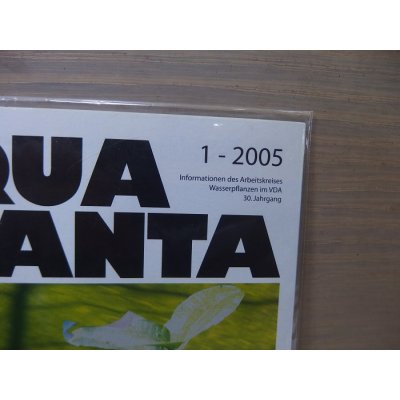 画像3: AQUA PLANTA 2005 1 