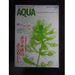 画像1: AQUA PLANTS(アクアプランツ)　No.9　2012年 (1)