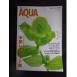 画像1: AQUA PLANTS(アクアプランツ)　No.6　2009年 (1)
