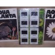 画像3: AQUA PLANTA 2001 1~4 (4冊セット)  (3)