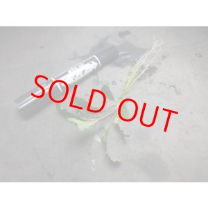 画像: ブセファランドラ sp. Nanga Taman/旧・南スカダウ2 (TB便)